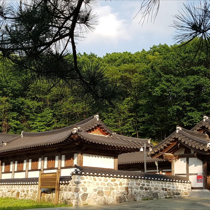 사진·영상·문화